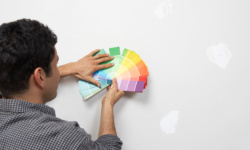צביעת דירה 5 חדרים - בחירת צבע לקירות
