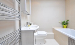 צביעת חדר אמבטיה עם עובש - מיכאל מרקו צבעי